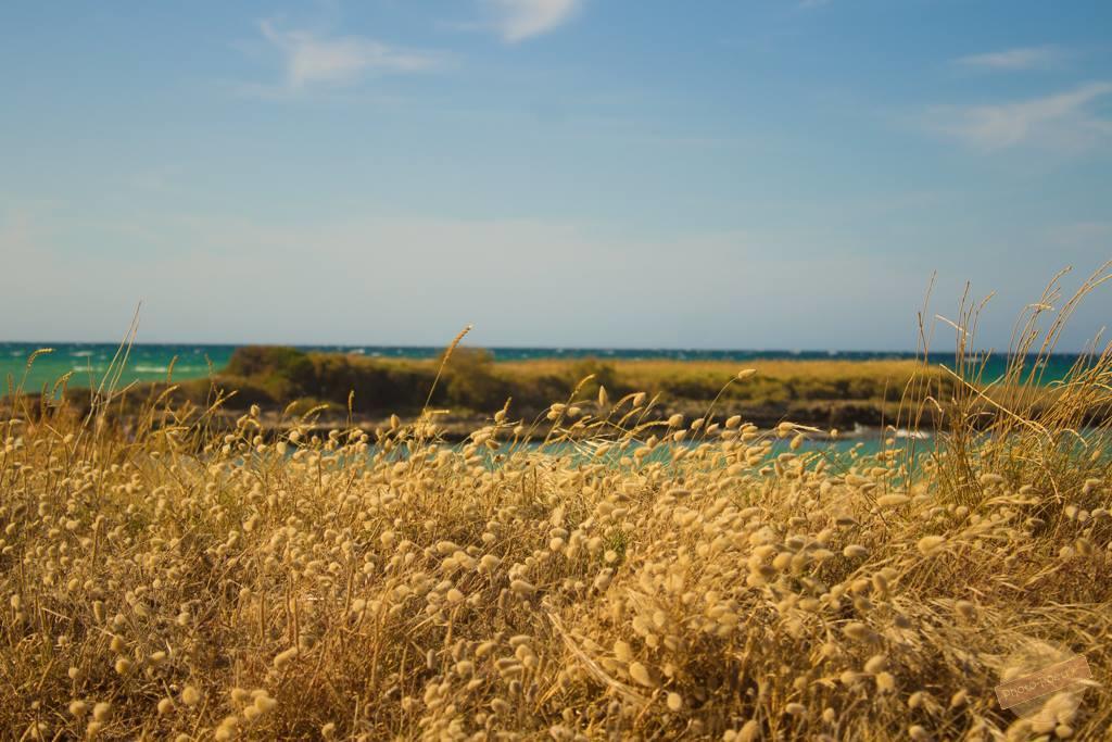 Borgo Degli Artisti Ostuni Exterior foto